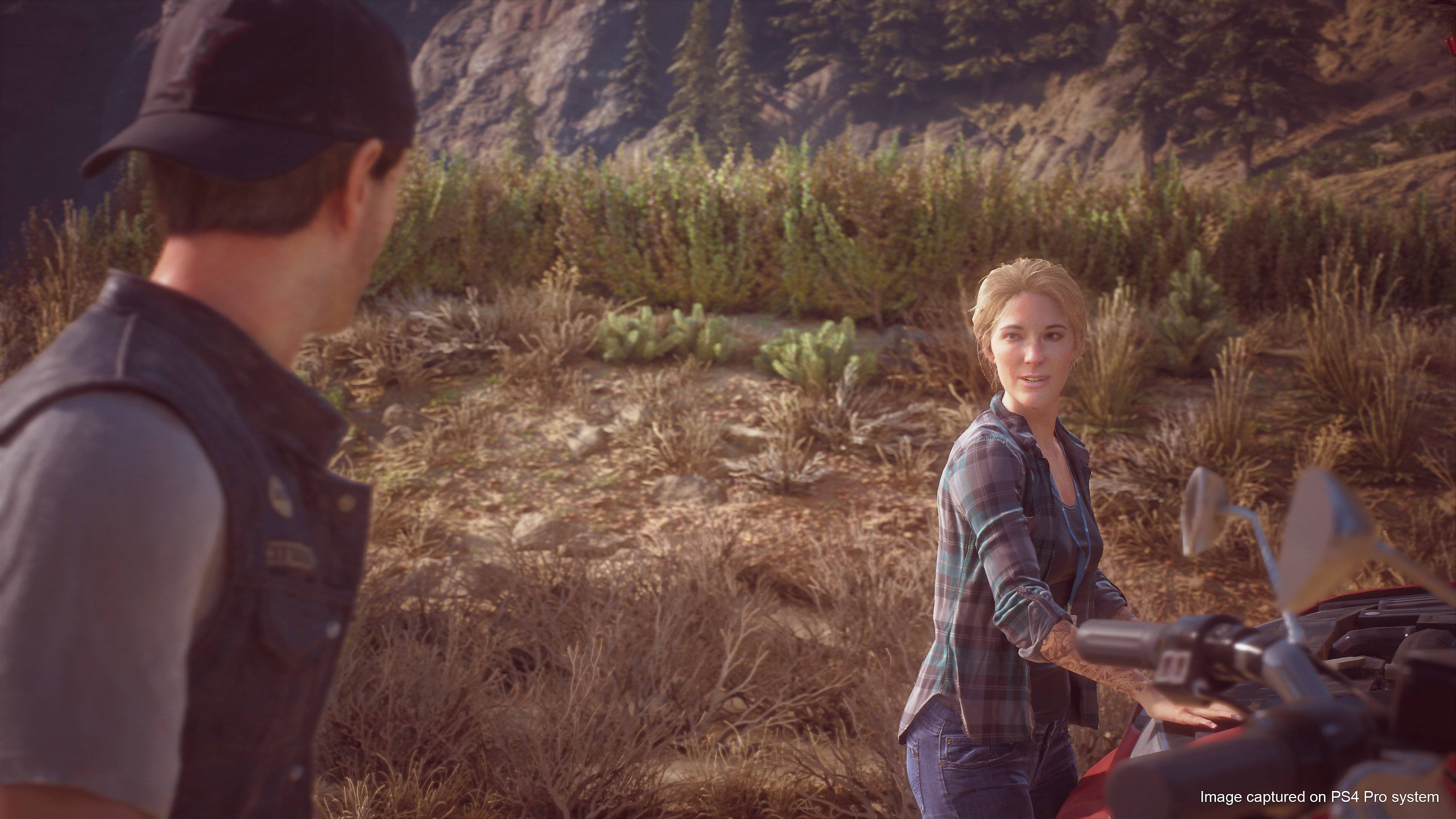 Days Gone - Imagen 48